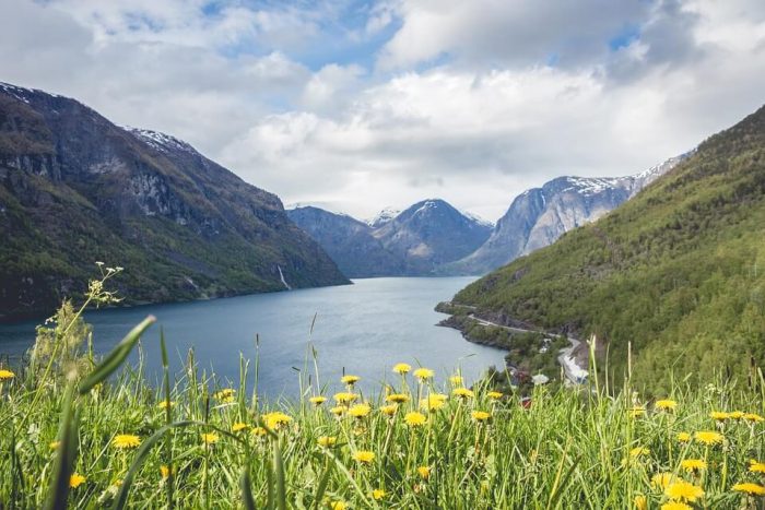 Sunflowers, lake and hills beyond