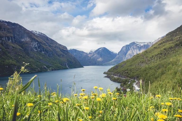 Sunflowers, lake and hills beyond