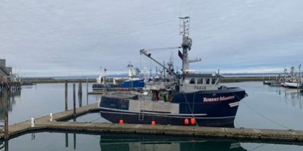 Viking Fishing 1